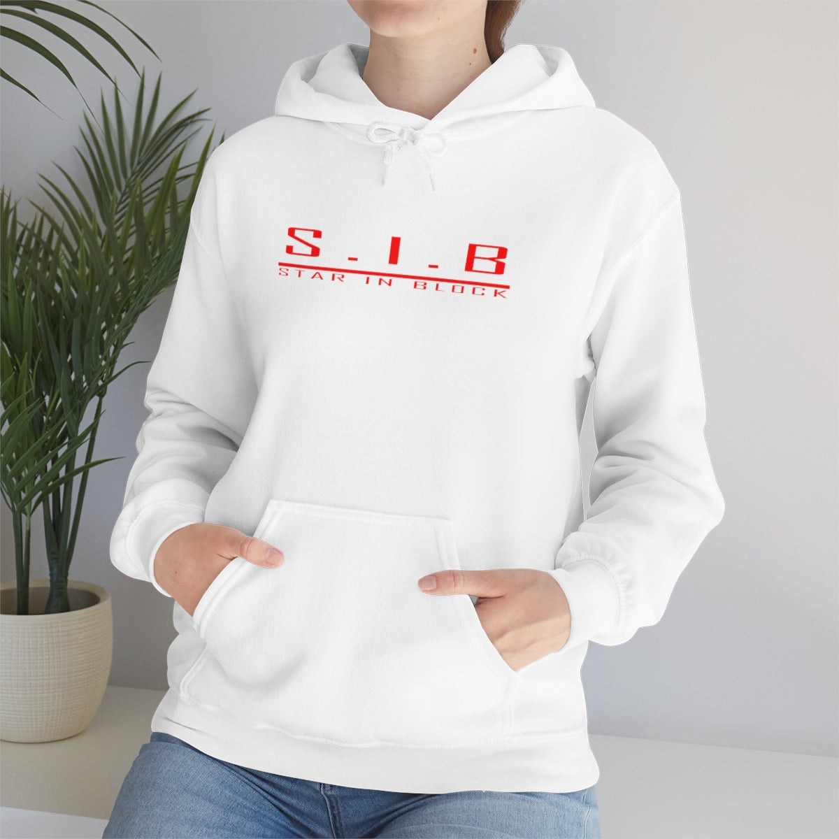 Copy of Basic SIB