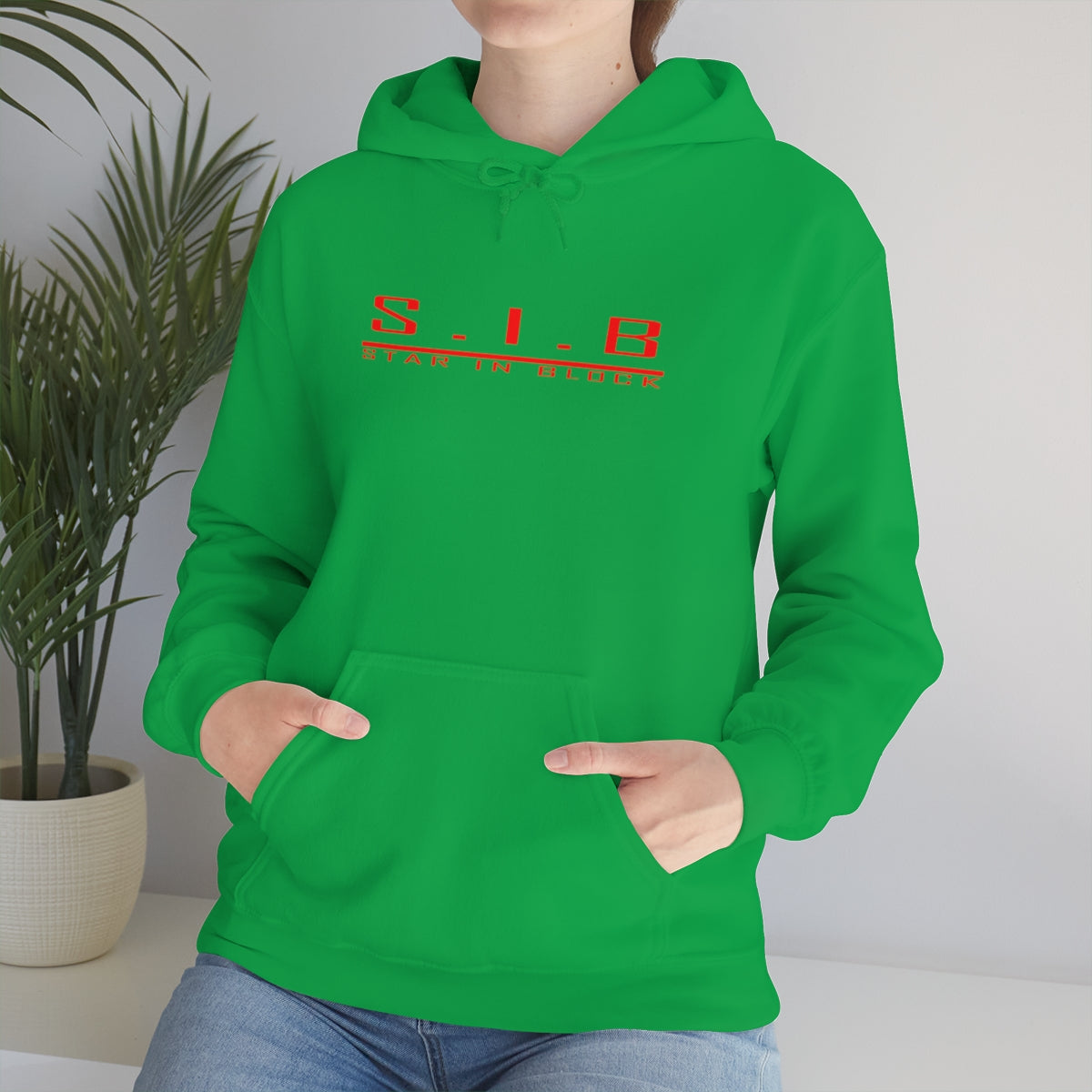 Copy of Basic SIB