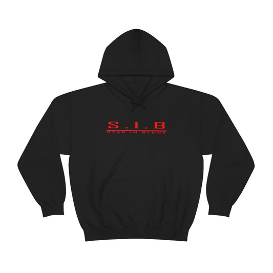 Copy of Basic SIB