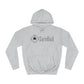 Sweat à capuche qualité supérieur / cliquez pour + de choix