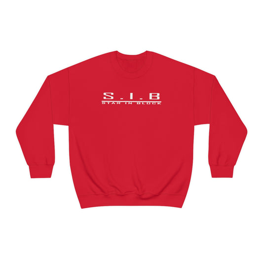 Basic Sweatshirt + de choix